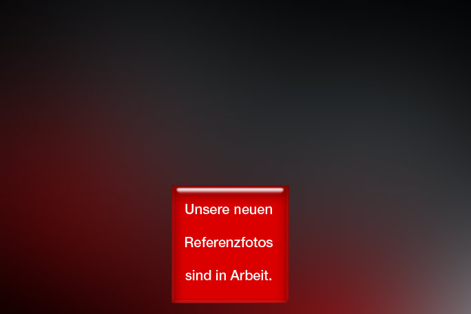 aktfotografie2