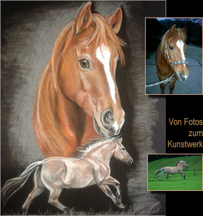 Mein Pferd Malen Lassen Pferdeportrait Zeichnen Lassen Wer Malt Meinen Pferd Gemalde Nach Foto