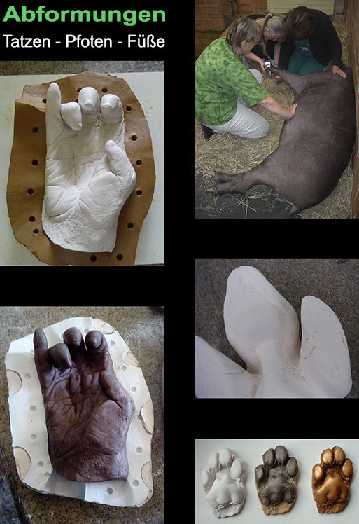 Abformungen von Skulpturen