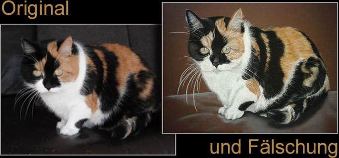 Katzenportraits, Katzenzeichnungen