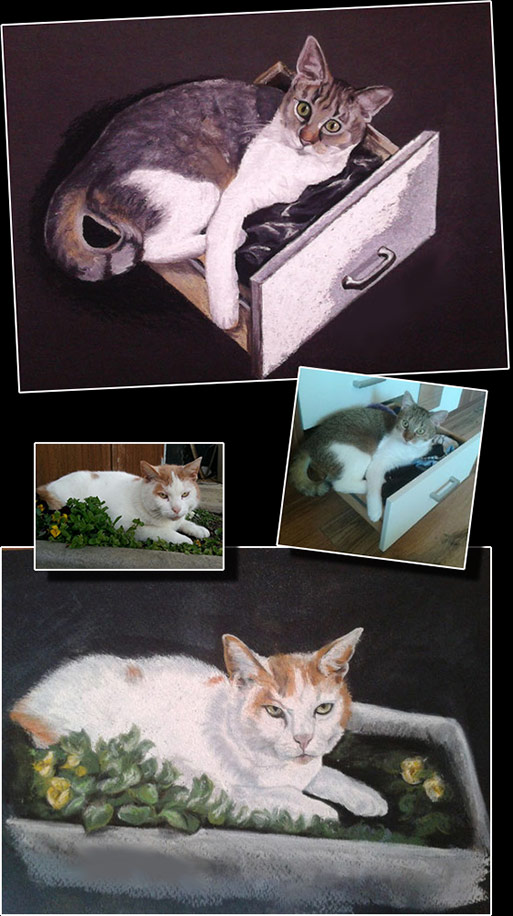 meine Katze zeichnen lassen